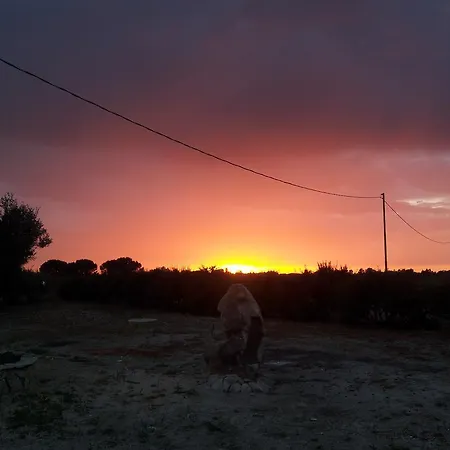 Séjour à la campagne Sa Contissa Terralba